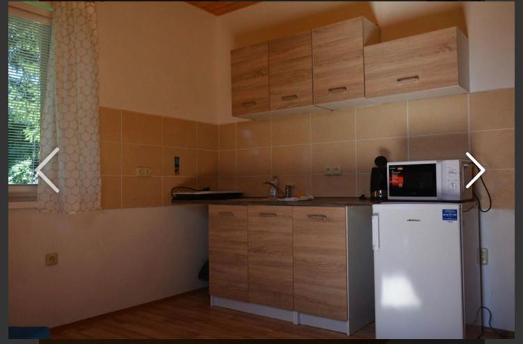 Apartmany Maruska Рокитнице над Ийзероу Екстериор снимка